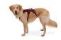 Preview: Ruffwear Web Master Harness Purple Rain Gr. M